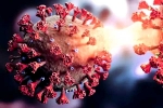 Covid-19 in China new variant, Covid-19 in China breaking updates, new and highly infectious covid 19 variant emerges in china, Gpi