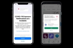 exposure notification express, exposure notification express, apple releases ios 13 7 with covid 19 exposure notifications, Apple ios 16