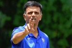 Rahul Dravid news, Rahul Dravid paycheque, rahul dravid to lead team india as head coach, Bcci president