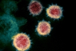 Mu variant latest, Mu variant, one more new variant of coronavirus traced in columbia, Anthony fauci