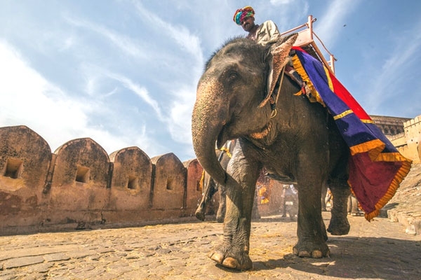 10 Best Heritage Tours in India