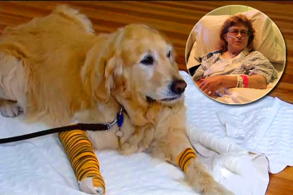 A Dog Saves her Blind Woman Owner},{A Dog Saves her Blind Woman Owner