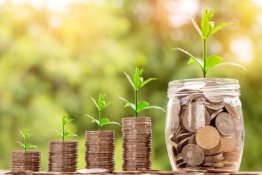 Why NRIs Should Invest in Bajaj Finance Fixed Deposit? Why NRIs Should Invest in Bajaj Finance Fixed Deposit?